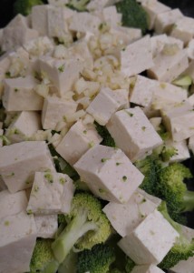 TofuandBroccoli