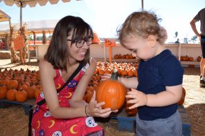DSC_0722 (1)