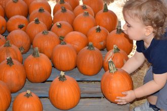 halloweenparenting
