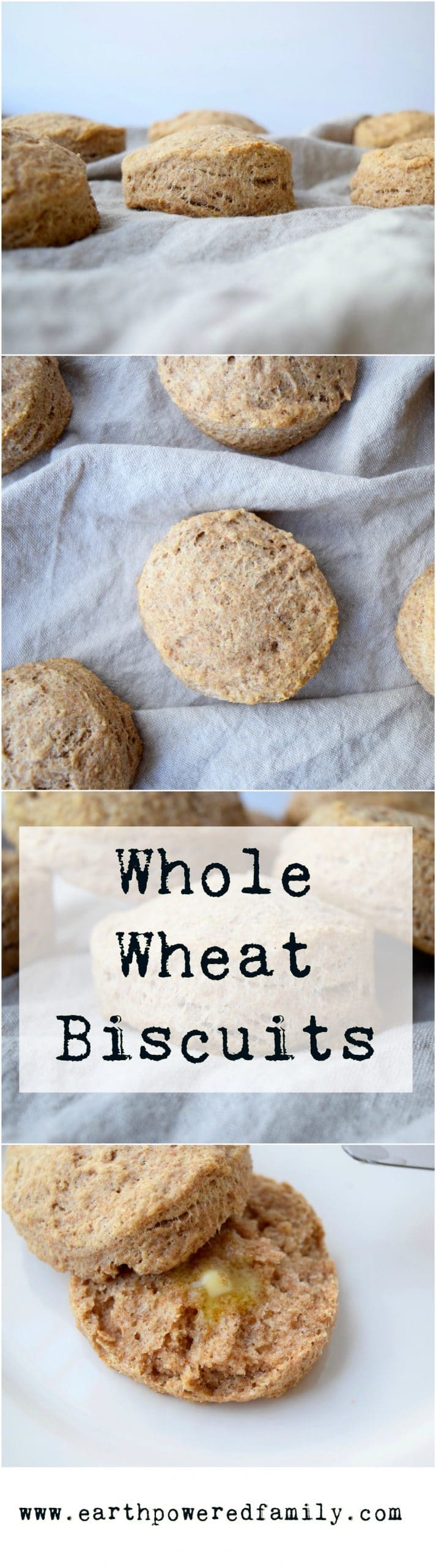 Whole Wheat Biscuits Earth Powered Family